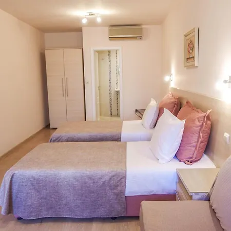 酒店 卫城酒店 2*