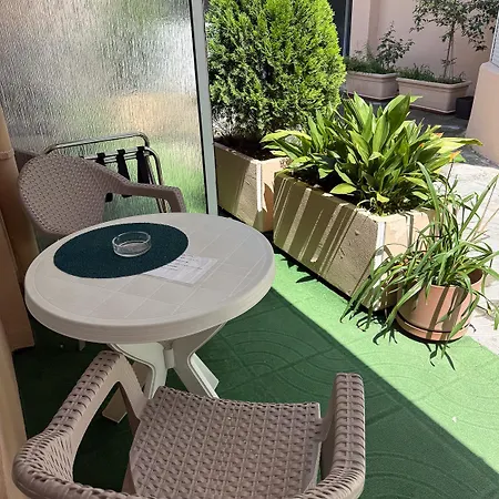 酒店 卫城酒店 2*